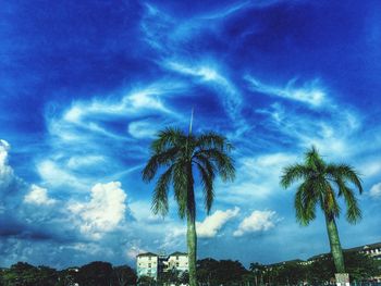 Low angle view of palm trees against cloudy sky