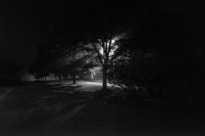 Silhouette trees on landscape against sky at night