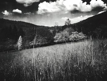 Scenic view of landscape against cloudy sky