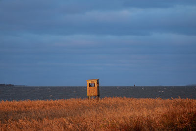 Scenic view of reed field in front of bodden water against sky