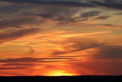 Silhouettes of migrating birds across an english sunset