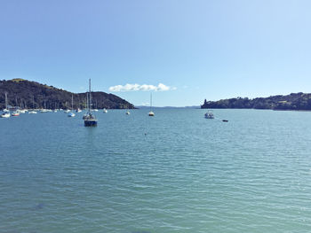 Sailboats moored on sea against clear sky