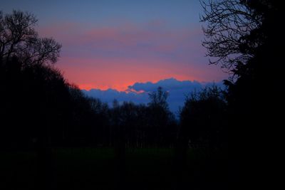 Silhouette of bare trees against sky