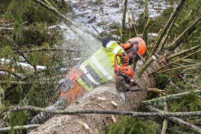 Lumberjack cutting tree with electric saw