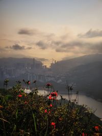 High angle view of townscape against sky during sunset