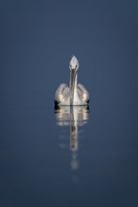 Close-up of water