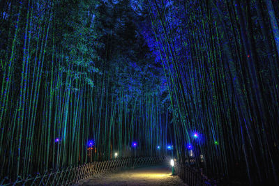 Low angle view of illuminated lights at night