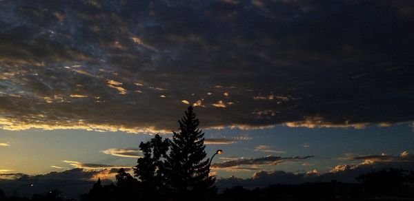 Low angle view of silhouette tree against sky at sunset