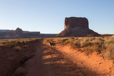 Rock formations on landscape against clear sky