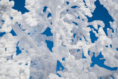 Full frame shot of frozen blue sky