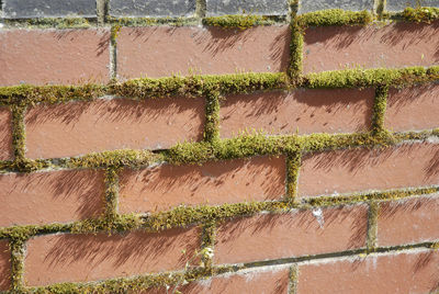 Full frame shot of patterned wall