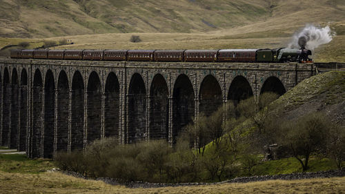 Train on viaduct bridge