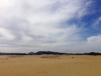 Scenic view of beach against cloudy sky