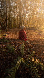 Rear view of woman sitting in forest