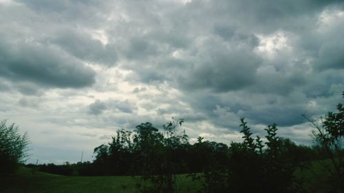 Trees on landscape against storm clouds