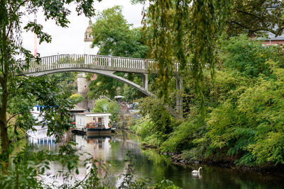 Bridge over river amidst trees