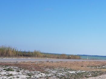 Scenic view of beach against clear blue sky