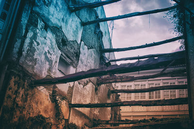 Low angle view of trees against sky