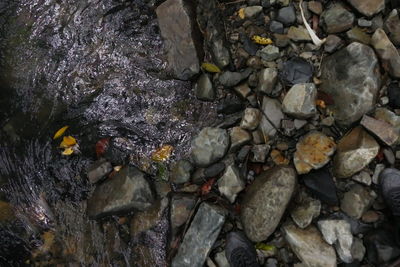 Close-up of rocks