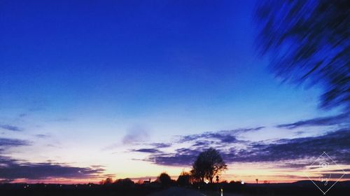 Low angle view of silhouette trees against sky at sunset