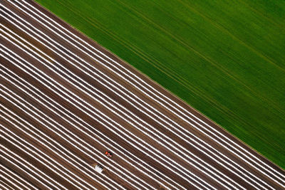 High angle view of agricultural field