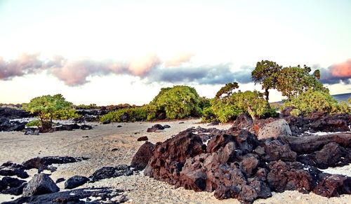 Rocks by sea against sky