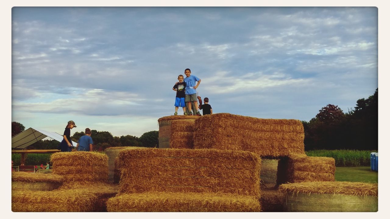 Sisson's Pumpkin Patch