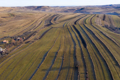 Above aerial view over agricultural fields in the autumn