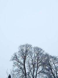 Low angle view of bare tree against clear sky