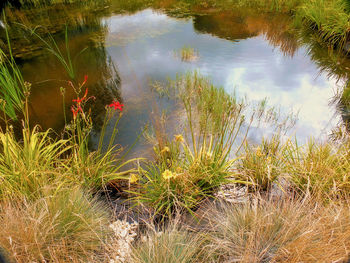 Scenic view of lake against sky