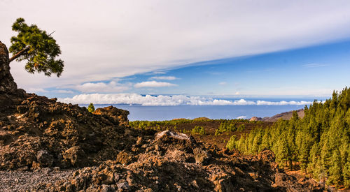 Scenic view of landscape against sky