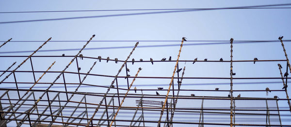 Low angle view of fence against clear sky