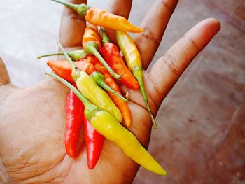 Close-up of hand holding red chili peppers