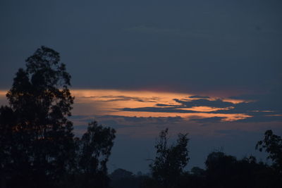 Low angle view of silhouette trees against sky at sunset