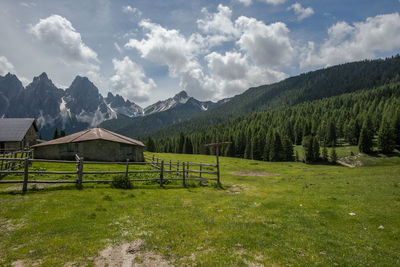 Old wooden alpine pasture farm in the pine woods in domeggie di cadore belluno italy