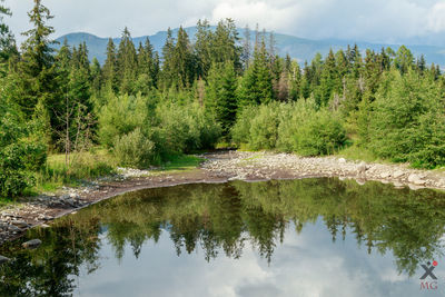 Reflection of trees in lake against sky