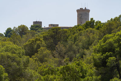 Trees and buildings against clear sky