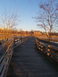 Boardwalk amidst bare trees against clear sky