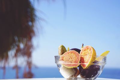 Close-up of fruits in bowl against sea