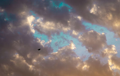 Low angle view of birds flying in sky