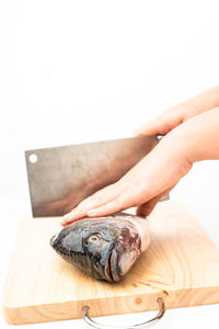 Close-up of hand holding fish