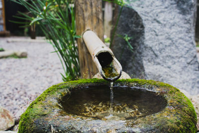 Water fountain against plants