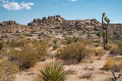 Rock formations on landscape against sky