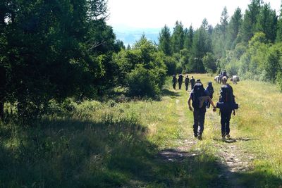 Rear view of people walking on field against trees