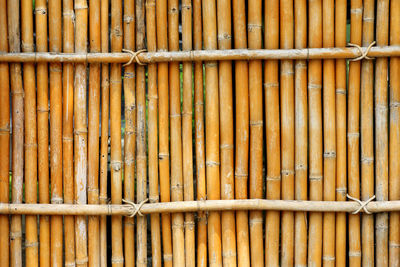 Full frame shot of bamboo fence