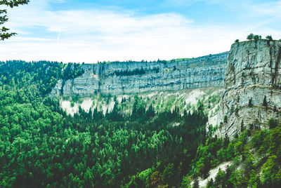 Panoramic shot of trees on mountain against sky