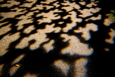 High angle view of shadow on sand