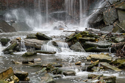 Scenic view of waterfall in forest