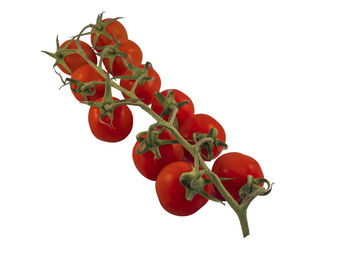 Close-up of red berries against white background