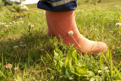 Low section of woman on field